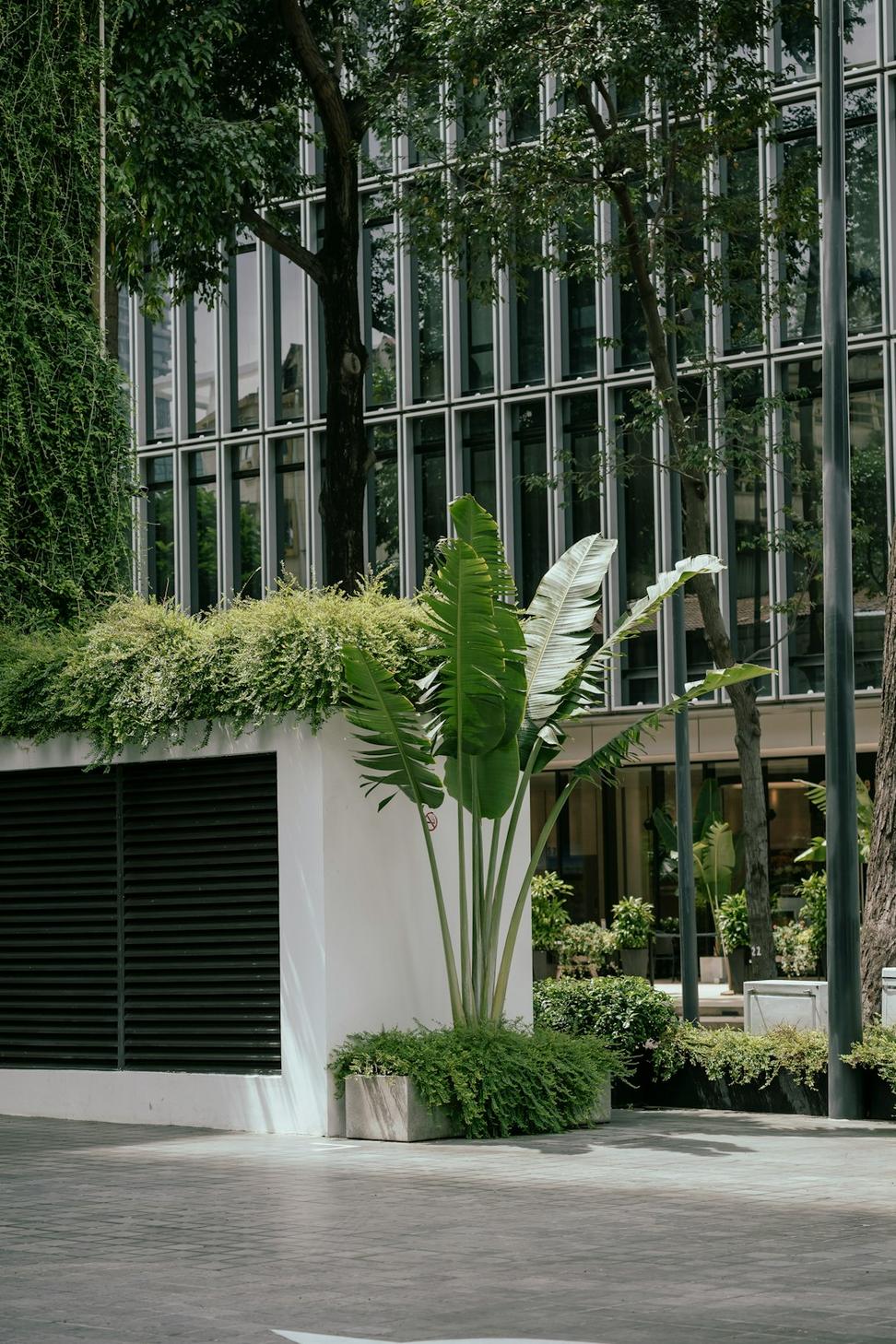 Evergreen Innovation Hub