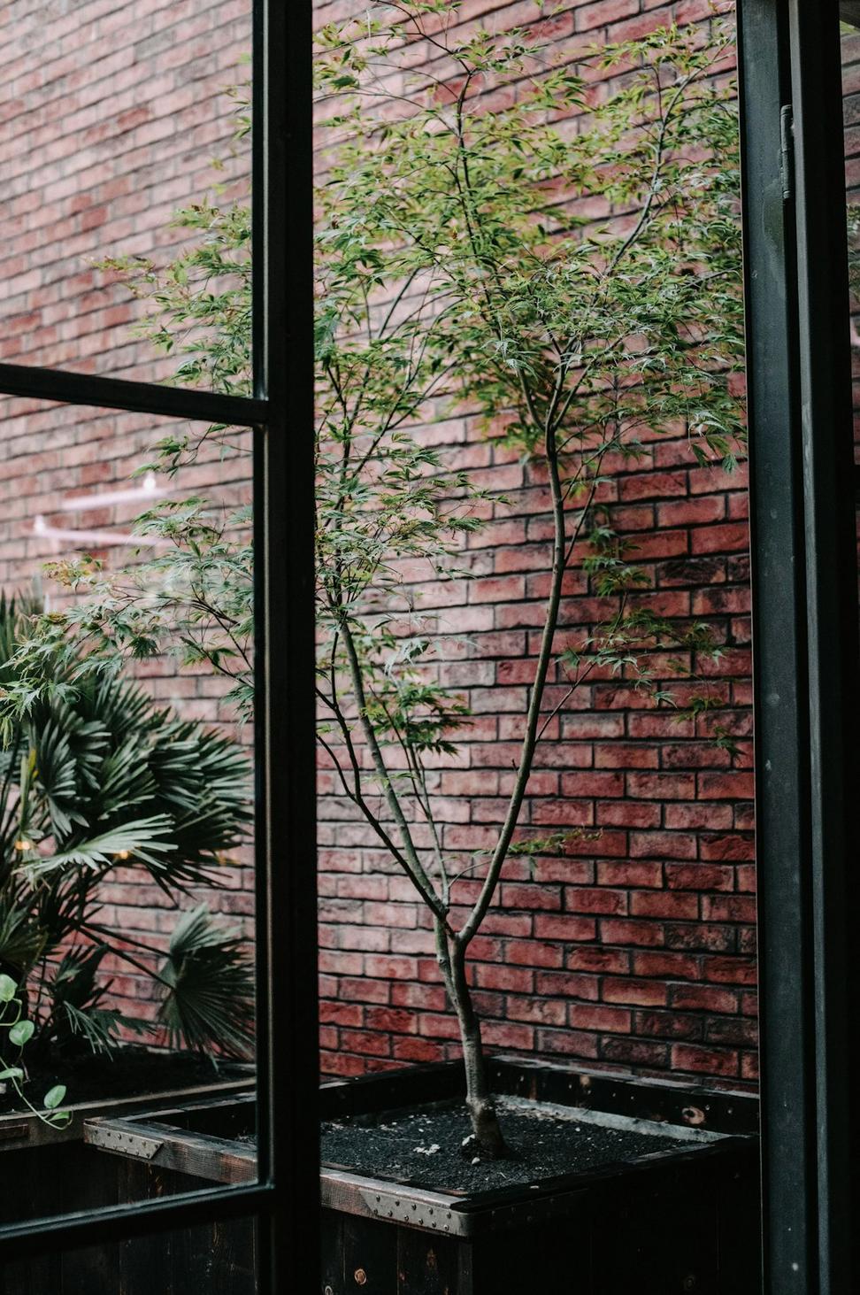 Farm Table Culinary Space